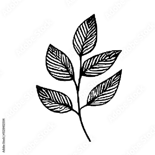 Leaf branch botanical doodle