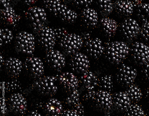 Loganberries still life photograph