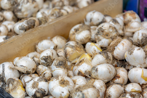 Selective focus of white Allium bulbs or roots, Staked of onions in wooden market stall, A large genus of monocotyledonous flowering plant genus in the family Amaryllidaceae, Natural floral background