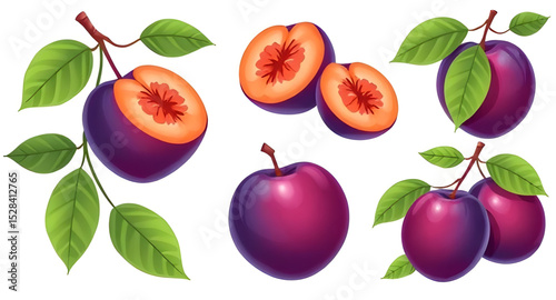 Plum vector, Plum illustration, Fresh plums vector, Whole plum vector, Sliced plum illustration, Plum fruit clipart, Juicy plum vector, Purple plum vector, Ripe plums, Plum set vector, Hand-drawn plum