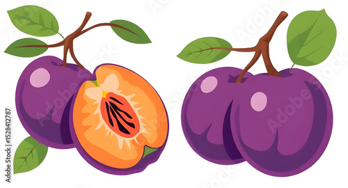 Plum vector, Plum illustration, Fresh plums vector, Whole plum vector, Sliced plum illustration, Plum fruit clipart, Juicy plum vector, Purple plum vector, Ripe plums, Plum set vector, Hand-drawn plum