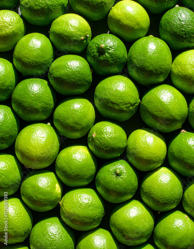 Lime still life photograph