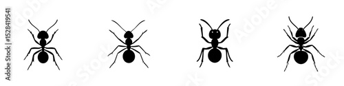 Ant icon set featuring various designs in a minimalist black and white style for graphic projects