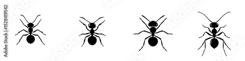 Stylized icon set featuring black ant designs for creative projects and digital use