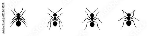 Icon set featuring various black ant designs suitable for web and graphic projects