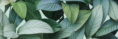 Wallpaper Mural Green leaves background Torontodigital.ca