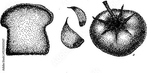 Stippling ink illustration of bread, garlic, and tomato for culinary art and design