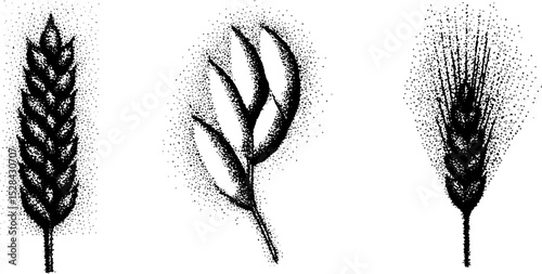 Botanical stippling art with ink halftone detailing illustrating wheat and flora