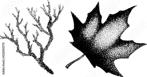 Intricate stippling ink art featuring detailed leaf and branch design