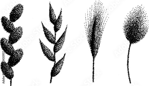 Intricate botanical stippling with ink and halftone techniques for creative design