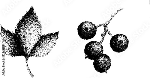 Stippling ink art of leaves and berries in hyper detailed halftone style