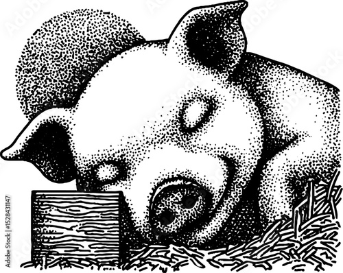 Hyper detailed stippling ink illustration of sleeping pig with halftone technique
