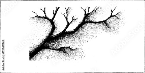 Hyper detailed stippling ink illustration of tree branch with halftone technique