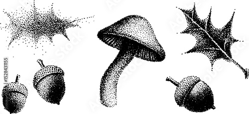 Stippling ink halftone illustration of autumn elements with acorns, mushroom, and oak leaf