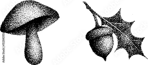 Stippling ink illustration of mushroom and acorn with leaf - hyper detailed nature art
