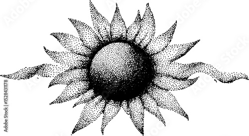 Intricate stippling ink art of a sunflower with halftone details for decorative design