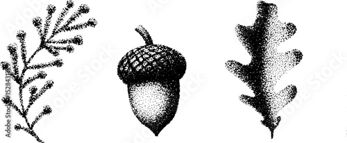 Intricate stippling ink illustration of acorn and leaves in halftone style for nature-inspired designs