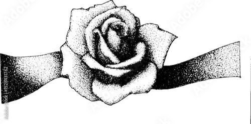 Hyper detailed stippling ink rose illustration with halftone technique for artistic design