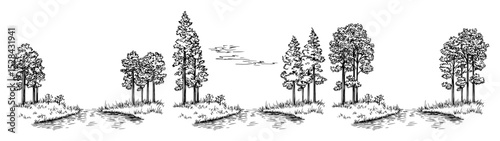 forest trees on riverside landscape sketch