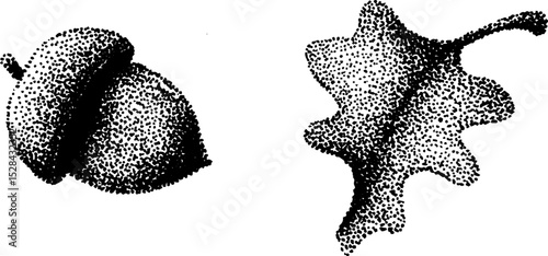 Stippling ink illustration of acorn and oak leaf in halftone style for artistic design