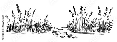 stone path through tall grass field doodle vector sketch