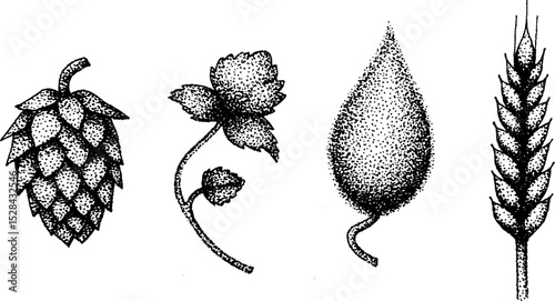 Intricate stippling ink artwork featuring hops, flowers, and grain elements