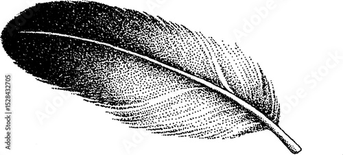 Hyper detailed feather illustration in stippling ink art style