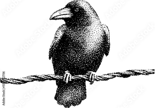 Hyper detailed stippling ink illustration of a crow on a wire