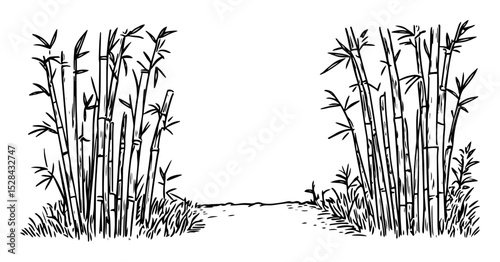 hand drawn bamboo forest with narrow path