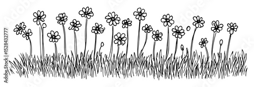 field of wildflowers and grass in hand drawn style