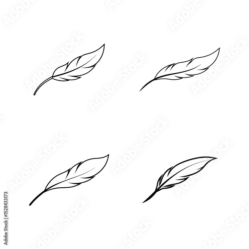 Elegant feather minimal decorative sketch art Line Art Vector illustration