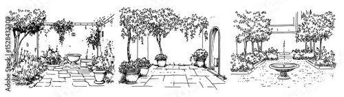 garden patio scene with plants and stone path