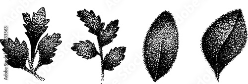 Hyper detailed stippling ink illustration of various leaves