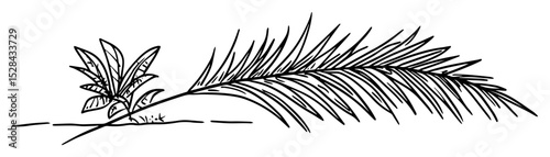 palm leaf symbol of peace and palm sunday