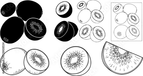Kiwi Fruit Vector Illustration silhouettes, coloring page, outline with Slice – Color Line Drawing, kiwi fruit whole, piece and brunch, Fresh and juicy kiwi fruit set