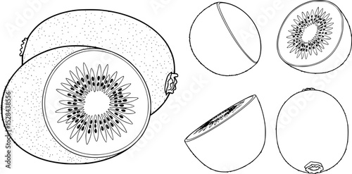 Kiwi Fruit Vector Illustration silhouettes, coloring page, outline with Slice – Color Line Drawing, kiwi fruit whole, piece and brunch, Fresh and juicy kiwi fruit set