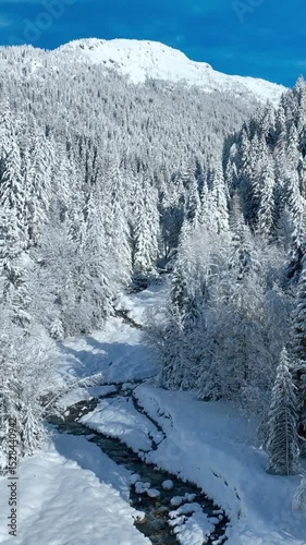 vertical video: winter holidays in Chamonix, France, French ski resort of Chamonix with alpine chalets on a sunny day, aerial view, Christmas landscape
