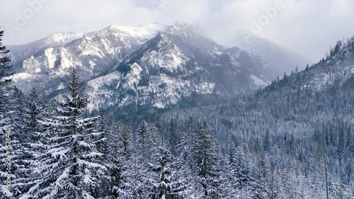 snowy white Christmas in the forest, idyllic Christmas landscape in Tatra mountains, drone view of a snowy forest with pines and beautiful snow-capped mountains, ski holiday