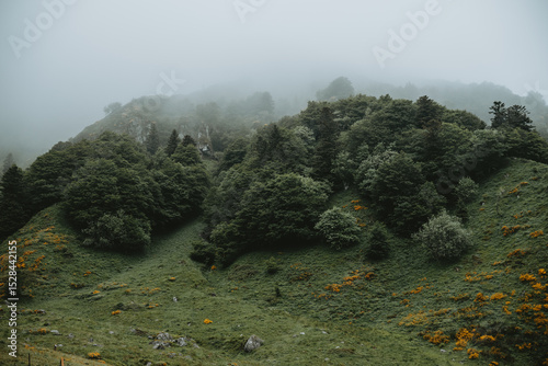 Paysage mystique et fantastique dans la montagne avec de la brume 