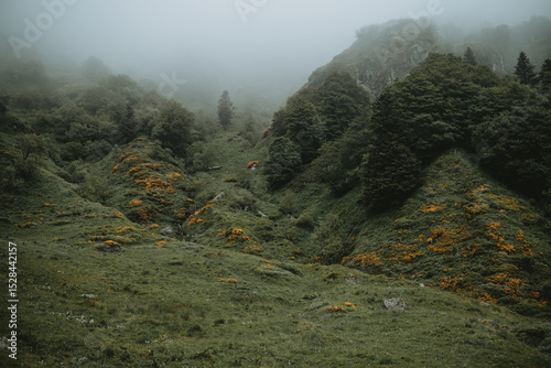 Paysage mystique et fantastique dans la montagne avec de la brume 