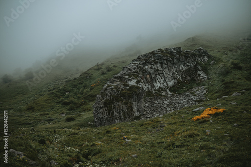 Un paysage mystique dans la brume dans la montagne