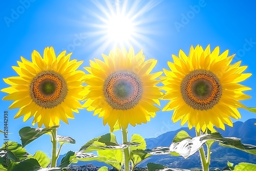 Golden Sunflowers Illuminate a Radiant Sky with Basking Sunlight Burst