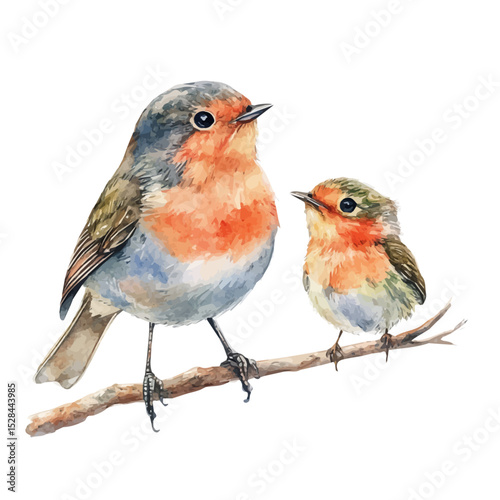 A Mother Robin With Her Kid, watercolor drawing vector, high quality, isolated on a white background.