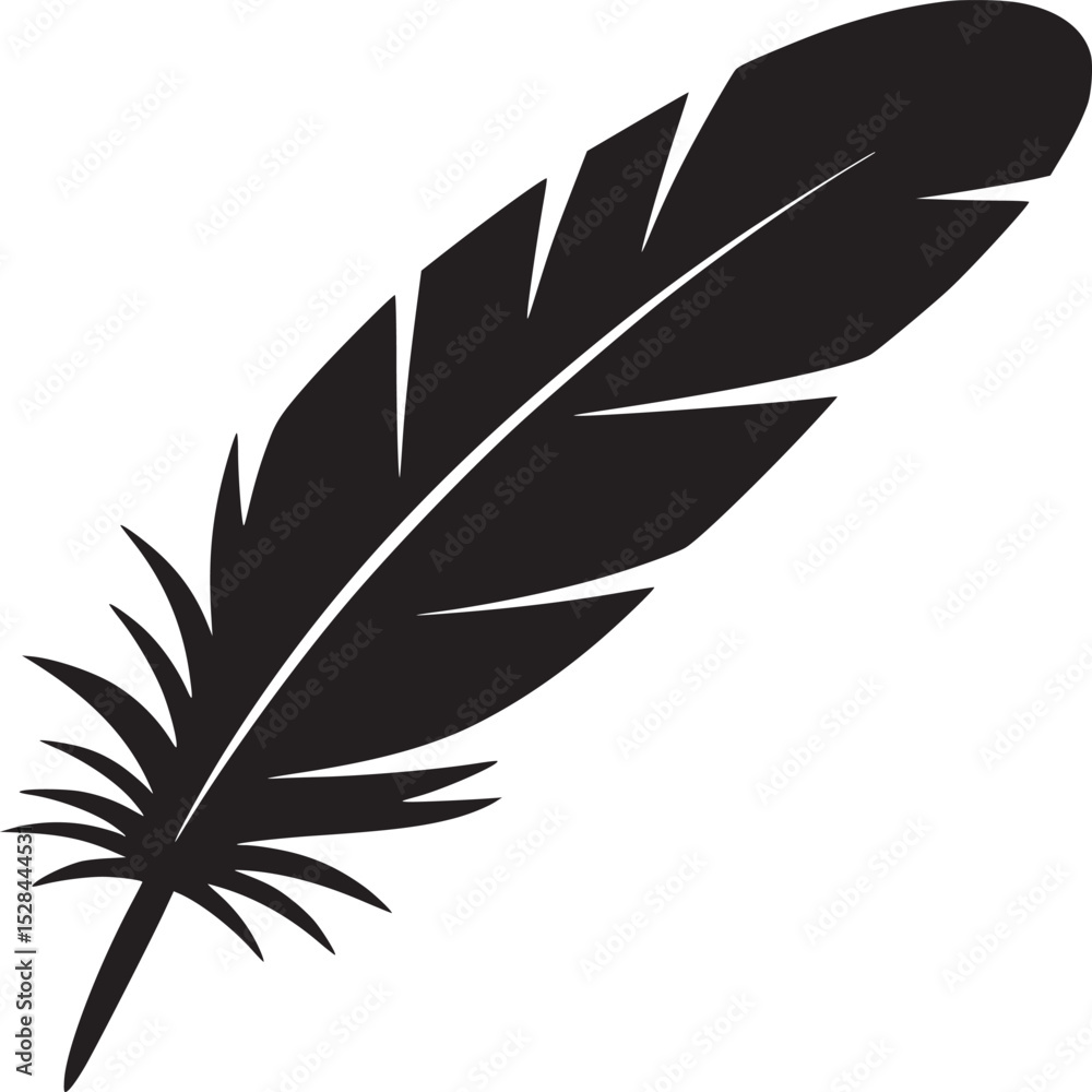 Obraz premium A single black feather with detailed barbs isolated on a plain white background in a simple graphic style