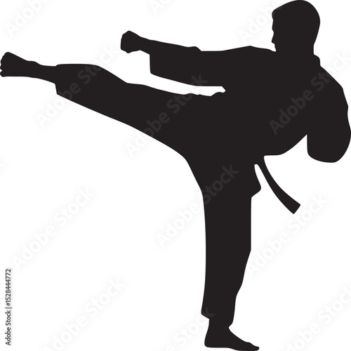 Silhouette of a person in a karate stance with a black belt and a raised leg ready to kick forward