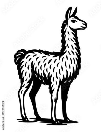 Minimal black SVG silhouette of a llama in side profile. Clean outline, isolated object, perfect for farm or South American themed designs.