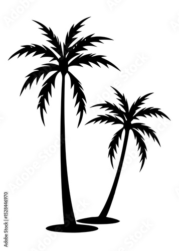 Tropical palm silhouette PNG tree design on transparent background
