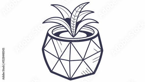 Geometric Potted Plant with Linear Design