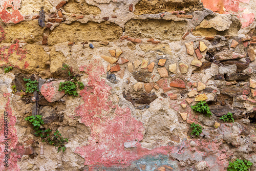 Weathered stone and concrete wall with plants in the cracks and traces of paint.
