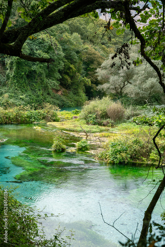 river in the forest
